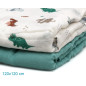 Set 2 muselinas dinosaurios sage 120x120cm-Kiokids