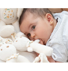 Sonajero peluche conejo 18cm-Kiokids