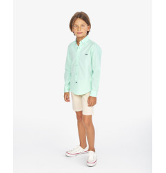 CAMISA MICRO OXFORD VERDE CLARO-Spagnolo
