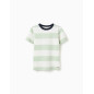 Camiseta de algodón a rayas para niño, blanco/verde-Zippy