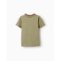 Camiseta de algodón con bordado Cactus Garden para niño, verde-Zippy