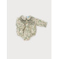 Ranita Smock familia Jade-Sardon