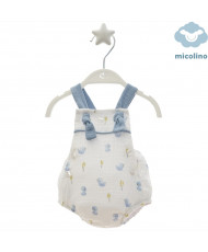 Ranita Familia Estrofa-Micolino