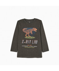 Camiseta Manga Larga Niño Dinosaurio-Zippy