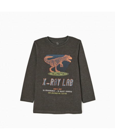 Camiseta Manga Larga Niño Dinosaurio-Zippy